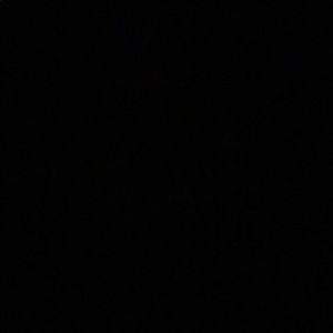 Meet your Posher, Isabella